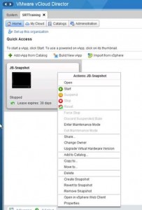 Snapshot Management in vCloud Director