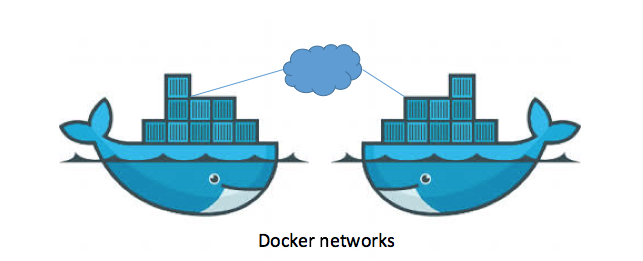 Container network. Объекты docker. Сеть docker PNG. Docker удлиненный. Docker 2.1.